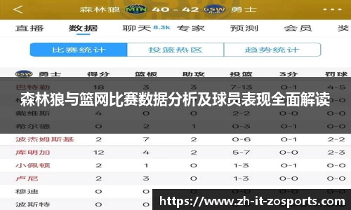 森林狼与篮网比赛数据分析及球员表现全面解读