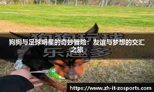 狗狗与足球明星的奇妙冒险：友谊与梦想的交汇之旅